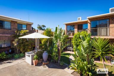 Unit For Sale - NSW - Tathra - 2550 - Options Galore  (Image 2)