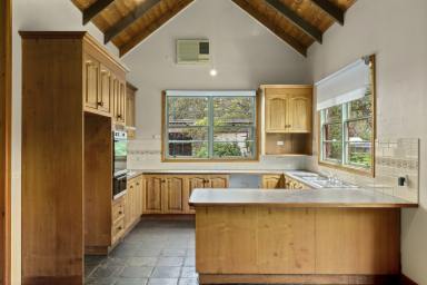 House For Sale - VIC - Noorat - 3265 - Tranquil Countryside Living  (Image 2)