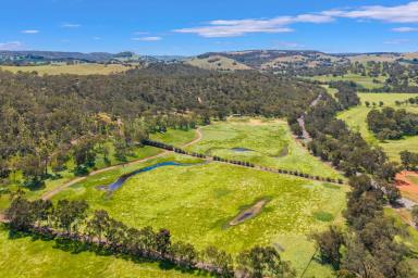 Other (Rural) For Sale - WA - Chittering - 6084 - Woodland Park — River Flats, Hilltops & Grand Homestead  (Image 2)