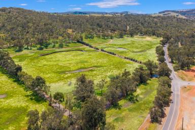 Other (Rural) For Sale - WA - Chittering - 6084 - Woodland Park — River Flats, Hilltops & Grand Homestead  (Image 2)