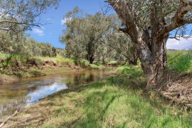 Other (Rural) For Sale - WA - Chittering - 6084 - Woodland Park — River Flats, Hilltops & Grand Homestead  (Image 2)