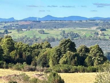 Acreage/Semi-rural Sold - TAS - Yolla - 7325 - Character Cottage on 21 Acres with Water Security and Sweeping Views  (Image 2)