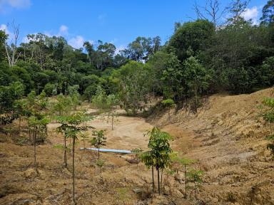 Lifestyle For Sale - QLD - Bloomfield - 4895 - 100 Acres of Opportunity in Tropical North Queensland (Image 2)