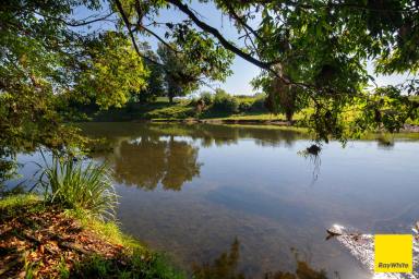 Mixed Farming For Sale - NSW - Bellingen - 2454 - Plant your roots at 'Greenhills'  (Image 2)