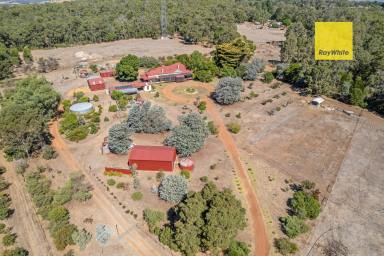 House For Sale - WA - Greenbushes - 6254 - A Rare Opportunity Heritage Homestead on 14 Acres (Image 2)