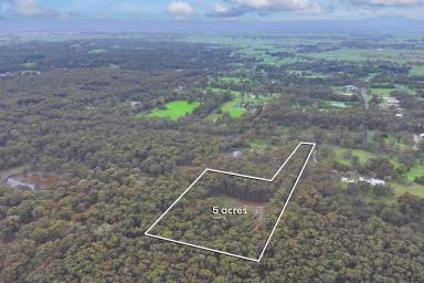 Residential Block For Sale - VIC - Smythes Creek - 3351 - Peaceful 5-Acre Lifestyle Allotment Ready to Build  (Image 2)