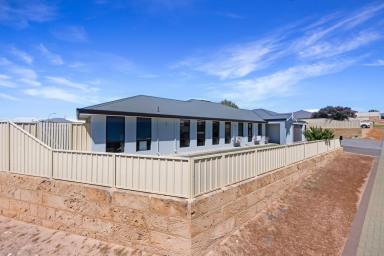 House For Sale - WA - Wandina - 6530 - NOW SELLING - A WANDINA TREASURE MASSIVE HOME & SHED  (Image 2)
