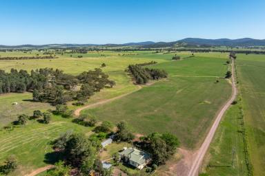 Mixed Farming For Sale - NSW - Canowindra - 2804 - 650ACRES* OF HIGH QUALITY MIXED FARMING & FATTENING COUNTRY  (Image 2)