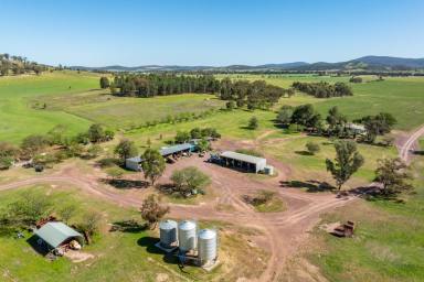 Mixed Farming For Sale - NSW - Canowindra - 2804 - 650ACRES* OF HIGH QUALITY MIXED FARMING & FATTENING COUNTRY  (Image 2)