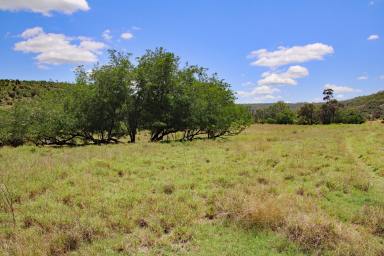 Other (Rural) For Sale - QLD - Thangool - 4716 - 2 Adjoining Freehold Properties 'Perrins & Bill's Place'  (Image 2)