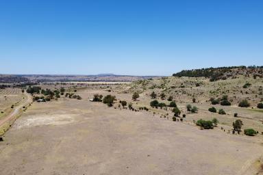 Other (Rural) For Sale - QLD - Thangool - 4716 - Thangool Softwood Scrub  (Image 2)