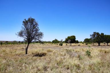 Other (Rural) For Sale - QLD - Thangool - 4716 - Thangool Softwood Scrub  (Image 2)