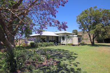 Other (Rural) For Sale - QLD - Thangool - 4716 - "Bill's Place" Thangool District Grazing  (Image 2)