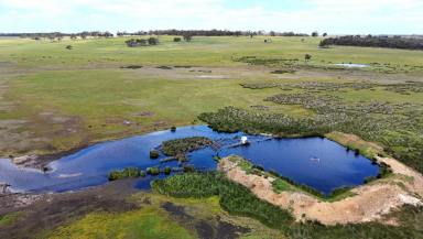 Mixed Farming For Sale - WA - Narrikup - 6326 - Proven Livestock Production & Dryland Cropping  (Image 2)
