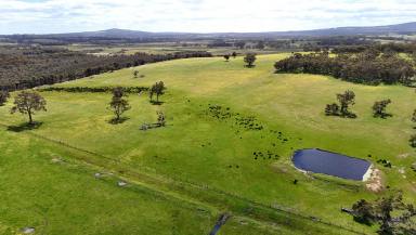 Mixed Farming For Sale - WA - Narrikup - 6326 - Proven Livestock Production & Dryland Cropping  (Image 2)