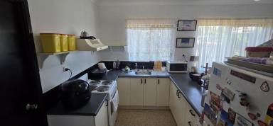 House For Sale - QLD - Taylors Beach - 4850 - HOUSE WITH SHED AT REAR AT BEACH!  (Image 2)