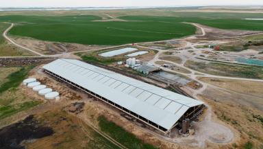 Dairy For Sale - SA - Meningie - 5264 - Significant Coorong District Dairy & Irrigation Opportunity  (Image 2)