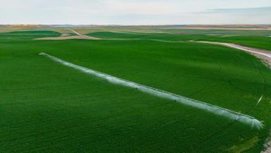 Dairy For Sale - SA - Meningie - 5264 - Significant Coorong District Dairy & Irrigation Opportunity  (Image 2)