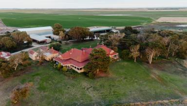 Dairy For Sale - SA - Meningie - 5264 - Significant Coorong District Dairy & Irrigation Opportunity  (Image 2)