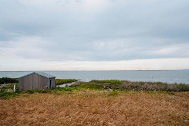 Dairy For Sale - SA - Meningie - 5264 - Significant Coorong District Dairy & Irrigation Opportunity  (Image 2)