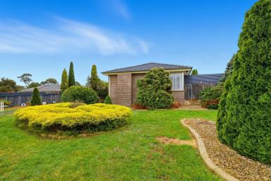 House For Lease - TAS - Clarendon Vale - 7019 - Comfortable Family Home with Large Yard and Workshop  (Image 2)