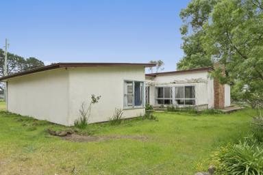 Lifestyle Auction - VIC - Vite Vite North - 3325 - The Country Life  (Image 2)