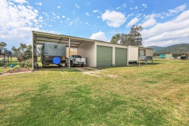 Lifestyle Auction - NSW - Moonbi - 2353 - The Perfect Blend of Space, Lifestyle & Convenience  (Image 2)