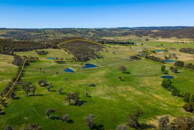 Mixed Farming Auction - NSW - Goulburn - 2580 - Pristine Farm Land So Close to Town  (Image 2)