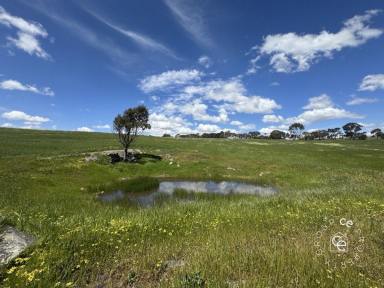 Lifestyle For Sale - SA - Mount Pleasant - 5235 - Choose your home and lifestyle (Image 2)