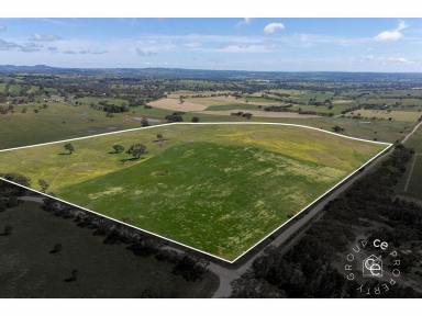 Lifestyle For Sale - SA - Mount Pleasant - 5235 - Choose your home and lifestyle (Image 2)