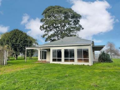 House For Lease - VIC - Dumbalk - 3956 - Charming Three-Bedroom Farmhouse on a Working Cattle Property  (Image 2)