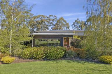 House For Sale - VIC - Sailors Hill - 3461 - Light-Filled Eco Retreat – Modern Country Living in Daylesford  (Image 2)