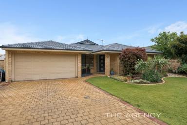 House For Sale - WA - Mindarie - 6030 - Absolutely Fabulous on Fowey  (Image 2)