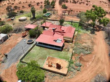 Other (Rural) For Sale - WA - Meekatharra - 6642 - YOOTHAPINA STATION, MEEKATHARRA  (Image 2)