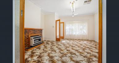 House For Lease - NSW - Walla Walla - 2659 - 3-bedroom home on large block close to main street  (Image 2)