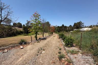 Residential Block For Sale - QLD - Glenwood - 4570 - POTENTIAL PLUS  (Image 2)
