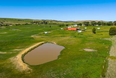 Lifestyle Auction - NSW - Goulburn - 2580 - 25 Pristine Acres!  (Image 2)