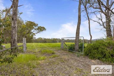 Lifestyle For Sale - VIC - Lexton - 3352 - Expansive Rural Lifestyle with Endless Possibilities  (Image 2)