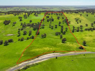 Mixed Farming Auction - VIC - Casterton - 3311 - "Tylers" - 97 Acres of Rolling Western District Beauty  (Image 2)