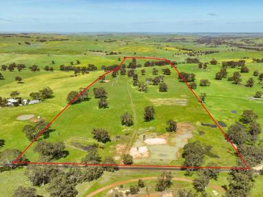 Mixed Farming Auction - VIC - Casterton - 3311 - "Tylers" - 97 Acres of Rolling Western District Beauty  (Image 2)