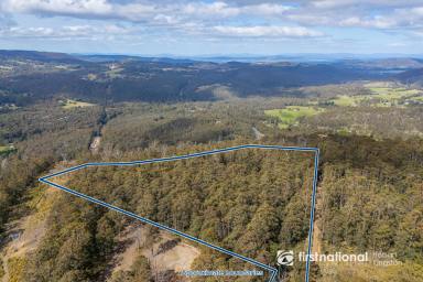 Residential Block For Sale - TAS - Lower Longley - 7109 - A Rare Piece of Tasmania Perched on High  (Image 2)