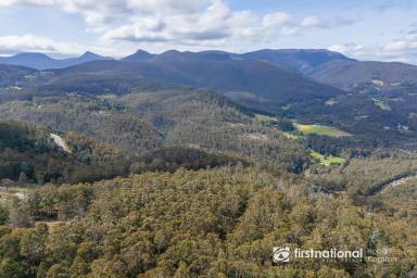 Residential Block For Sale - TAS - Lower Longley - 7109 - A Rare Piece of Tasmania Perched on High  (Image 2)