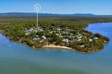 House Sold - QLD - Boreen Point - 4565 - Charming Lakeside Living (Image 2)