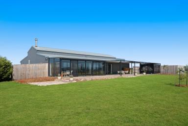 Cropping Auction - NSW - Goulburn - 2580 - The Boutique Equine Lifestyle - Refined and Ready  (Image 2)