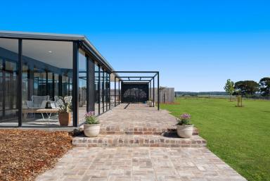 Cropping Auction - NSW - Goulburn - 2580 - The Boutique Equine Lifestyle - Refined and Ready  (Image 2)