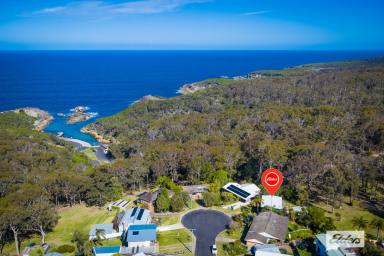 House For Sale - NSW - Tathra - 2550 - Like Living In The Country  (Image 2)