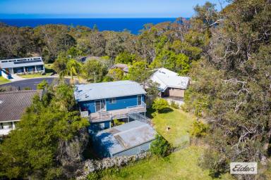 House For Sale - NSW - Tathra - 2550 - Like Living In The Country  (Image 2)