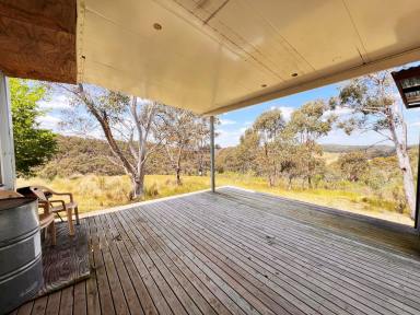 Acreage/Semi-rural For Sale - NSW - Laggan - 2583 - Perfect weekender, Bush & Cleared Mix, Permanent Creek, Power, Road Frontage  (Image 2)