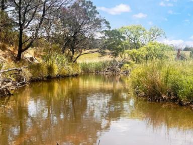Acreage/Semi-rural For Sale - NSW - Laggan - 2583 - Perfect weekender, Bush & Cleared Mix, Permanent Creek, Power, Road Frontage  (Image 2)