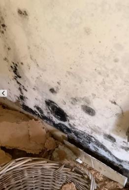 Business For Sale - QLD - Gold Coast Mc - 4217 - Queensland Pest Inspections & Reports Gold Coast  (Image 2)